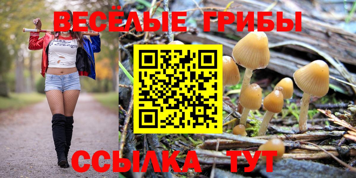 Псилоцибиновые грибы Psilocybine cubensis  Вход с VPN  Дальнегорск 